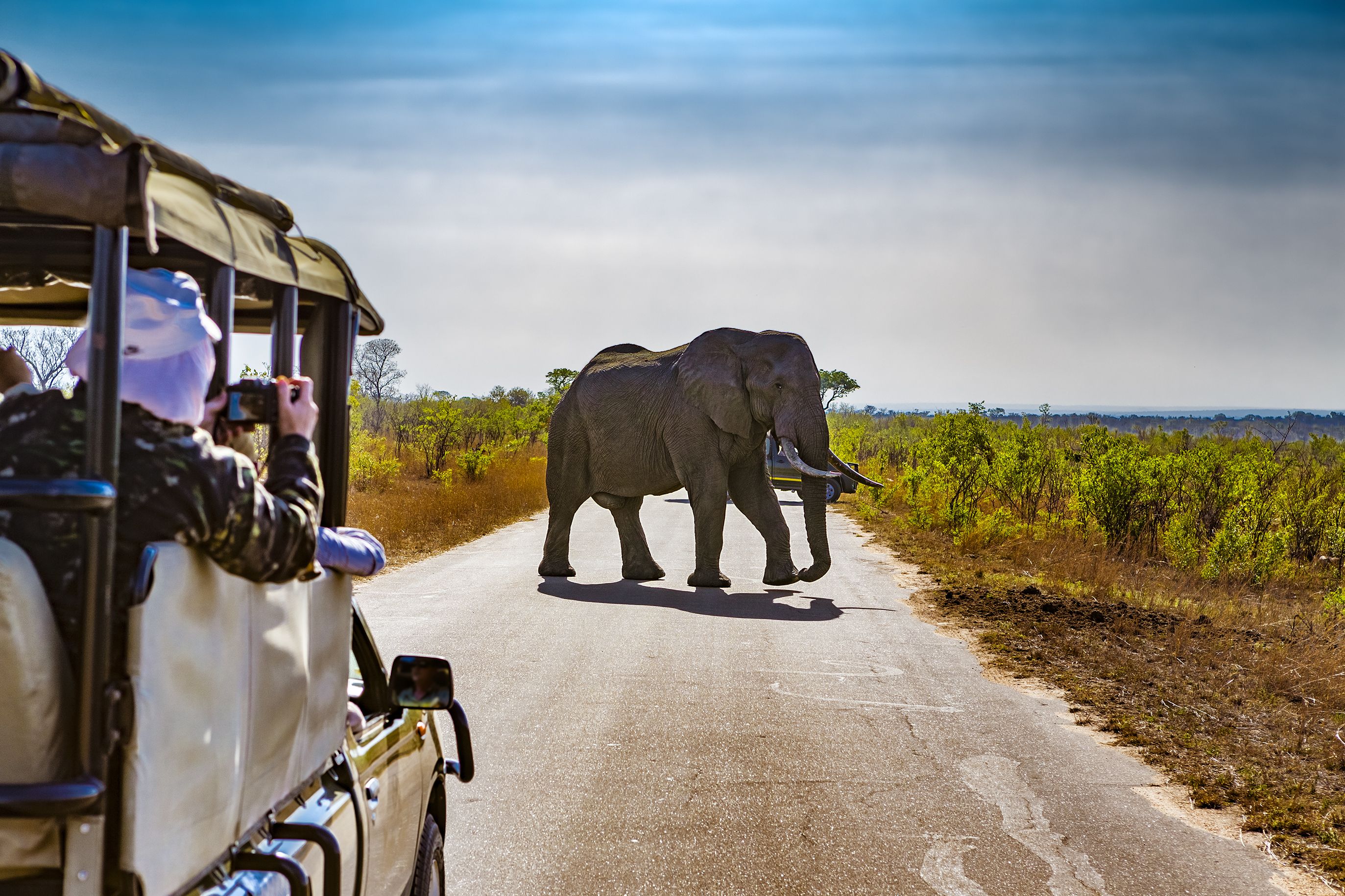 South Africa & Great Zimbabwe